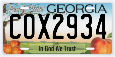 GA license plate COX2934