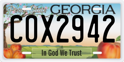 GA license plate COX2942