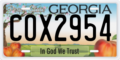 GA license plate COX2954