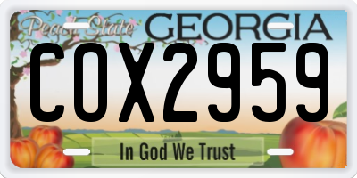 GA license plate COX2959