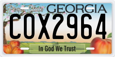 GA license plate COX2964