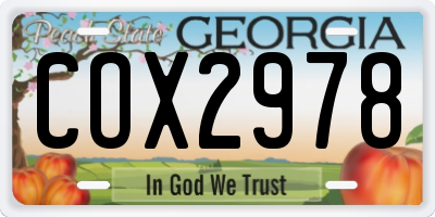 GA license plate COX2978