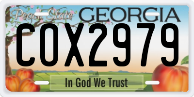 GA license plate COX2979