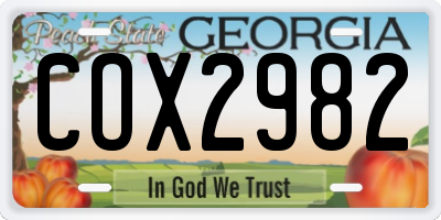 GA license plate COX2982