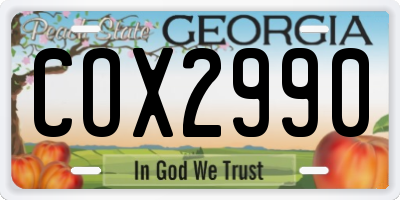GA license plate COX2990