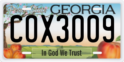 GA license plate COX3009