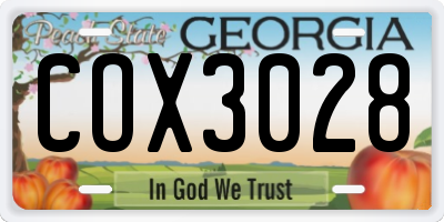 GA license plate COX3028