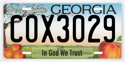GA license plate COX3029