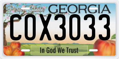 GA license plate COX3033