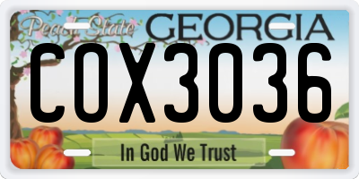 GA license plate COX3036