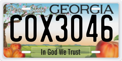GA license plate COX3046