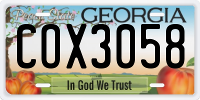 GA license plate COX3058