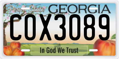 GA license plate COX3089