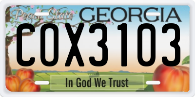 GA license plate COX3103