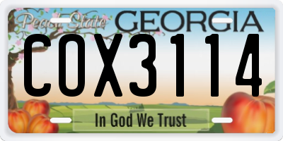 GA license plate COX3114