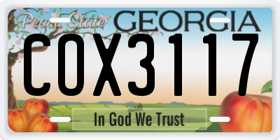 GA license plate COX3117