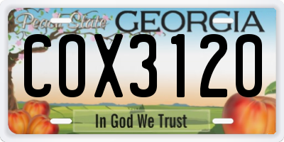 GA license plate COX3120