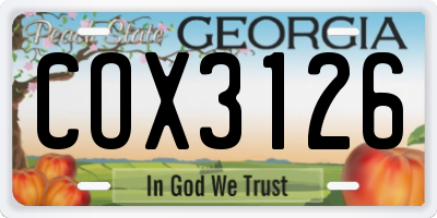 GA license plate COX3126