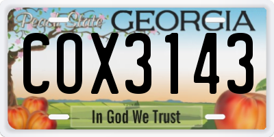 GA license plate COX3143