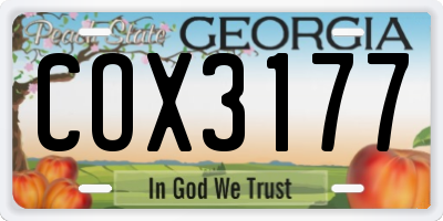 GA license plate COX3177