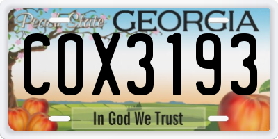 GA license plate COX3193