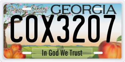 GA license plate COX3207