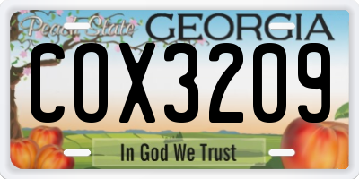 GA license plate COX3209