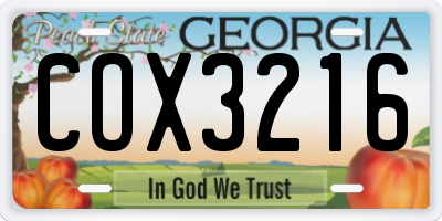 GA license plate COX3216