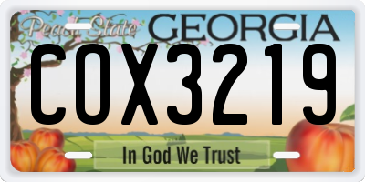 GA license plate COX3219