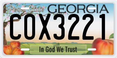 GA license plate COX3221