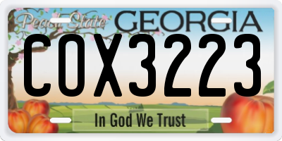 GA license plate COX3223