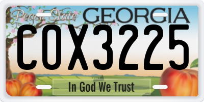 GA license plate COX3225