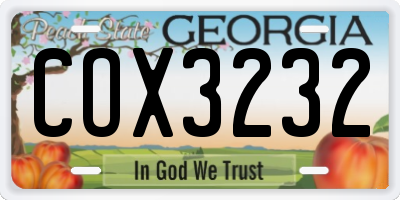 GA license plate COX3232