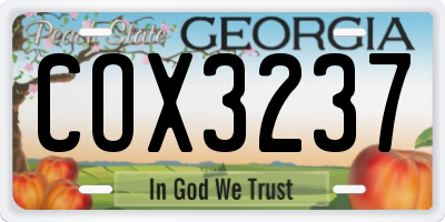 GA license plate COX3237