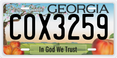 GA license plate COX3259