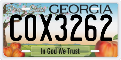 GA license plate COX3262