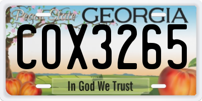 GA license plate COX3265