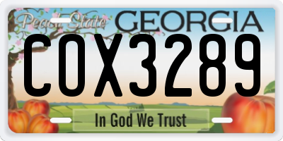 GA license plate COX3289