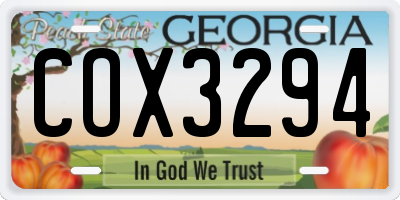 GA license plate COX3294