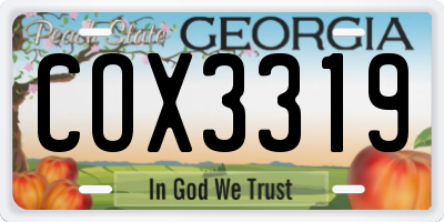 GA license plate COX3319