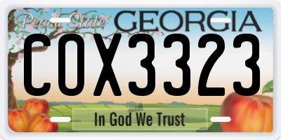 GA license plate COX3323