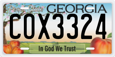 GA license plate COX3324