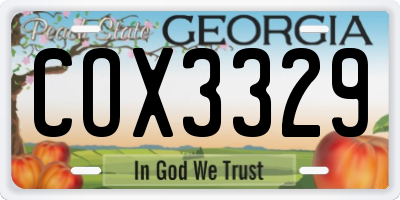 GA license plate COX3329