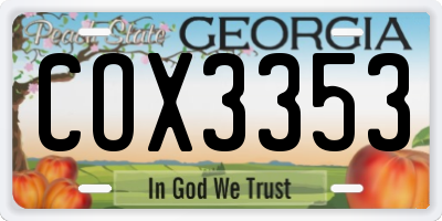 GA license plate COX3353