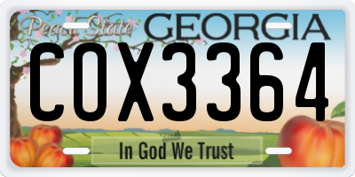 GA license plate COX3364