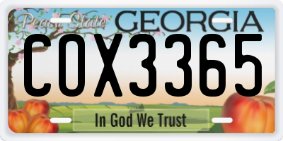 GA license plate COX3365
