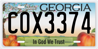 GA license plate COX3374