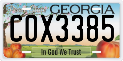 GA license plate COX3385