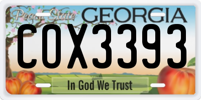 GA license plate COX3393