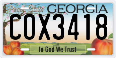 GA license plate COX3418